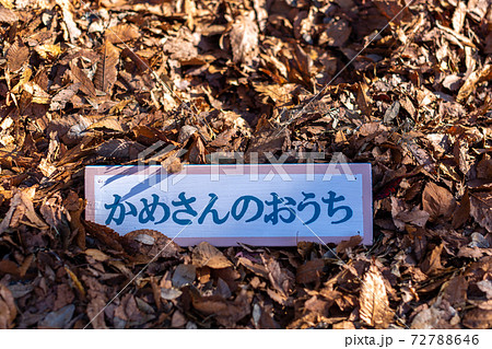 切株アート　札 72788646