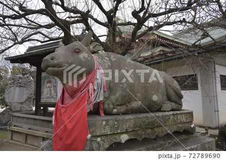なで牛　北野天満宮 72789690