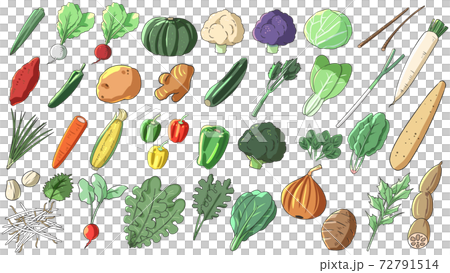 vegetable set vegetable set 72791514