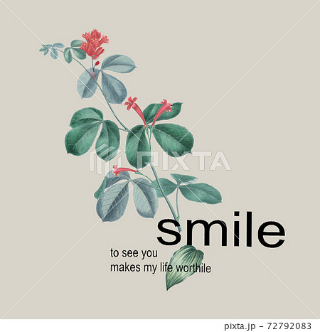 透明水彩 水彩画 花 72792083