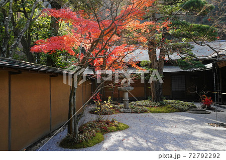 12月　鎌倉1099茶庭モミジの紅葉･一条恵観山荘 72792292