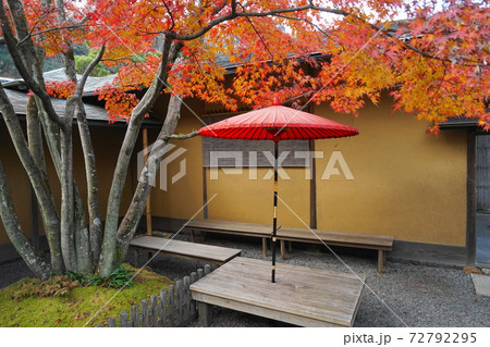 12月　鎌倉1096茶庭モミジの紅葉･一条恵観山荘 72792295