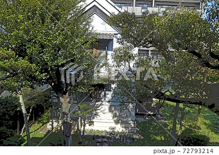 旧豊田佐助邸点景 旧豊田佐助邸点景 72793214