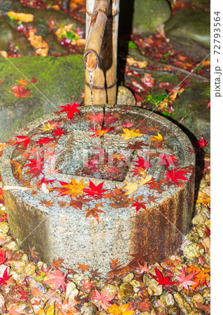 横浜市久良岐能舞台の紅葉 横浜市久良岐能舞台の紅葉 72793564