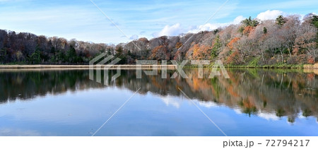 晩秋の八幡平大沼のパノラマ紅葉情景＠秋田 72794217
