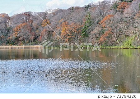 晩秋の八幡平大沼の紅葉情景＠秋田 72794220