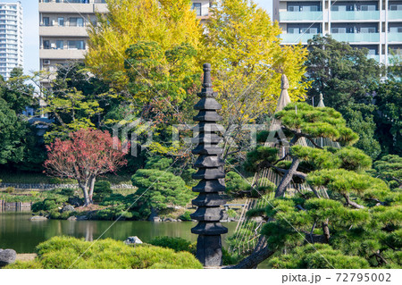 東京都 江東区 清澄庭園 松島と多層塔 秋の風景 都措定名勝 東京都 江東区 清澄庭園 松島と多層塔 秋の風景 都措定名勝 72795002