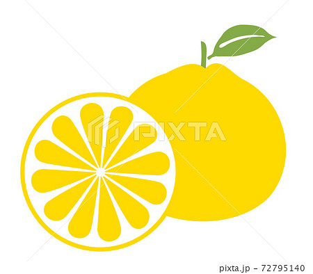 みかんイラスト 72795140
