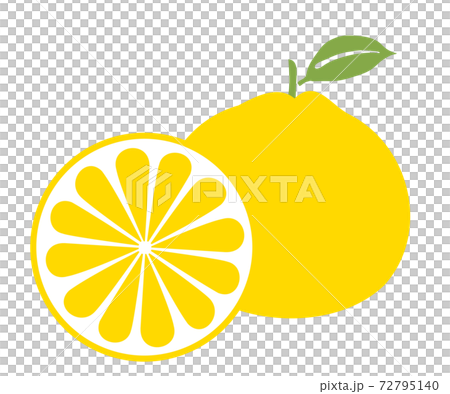 みかんイラスト 72795140