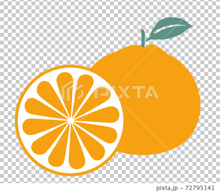 國語管弦樂隊 72795141