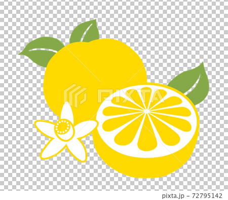 國語管弦樂隊 72795142