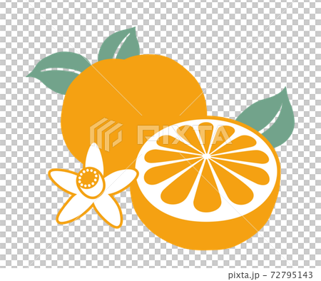 みかんイラストのイラスト素材