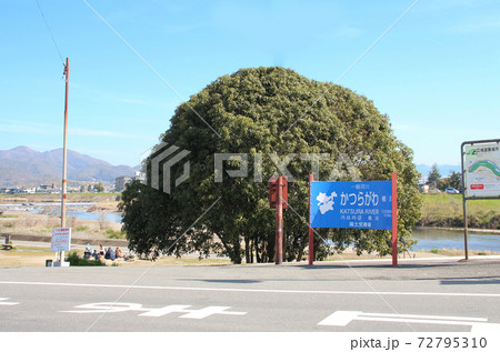 晴天青空の桂川 晴天青空の桂川 72795310
