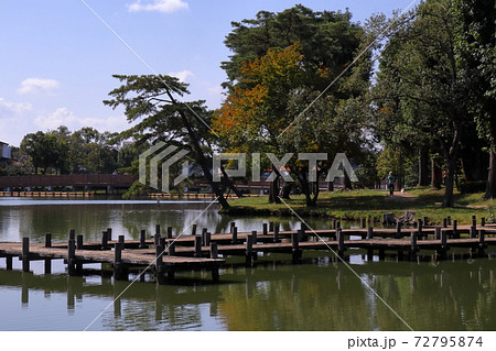 ロマンチック茨城 水戸市民の憩いの場 茨城百景にも選ばれた風光明媚な公園です 水戸市大塚池の写真素材