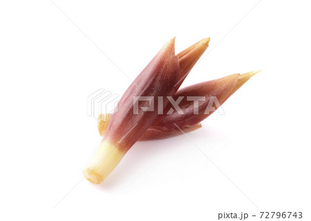 mioga isolated on a white background 72796743