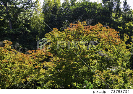 吉城園 奈良県奈良市 吉城園 奈良県奈良市 72798734