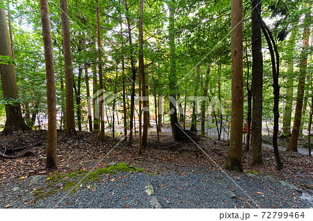 【京都府】 丹波國一之宮 出雲大神宮 【京都府】 丹波國一之宮 出雲大神宮 72799464