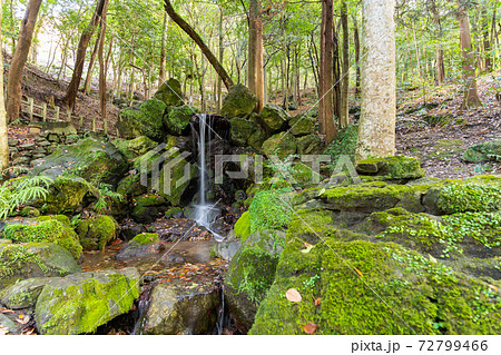 【京都府】　丹波國一之宮 出雲大神宮 72799466