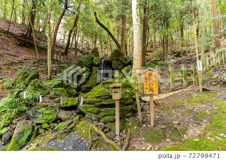 【京都府】 丹波國一之宮 出雲大神宮 【京都府】 丹波國一之宮 出雲大神宮 72799471