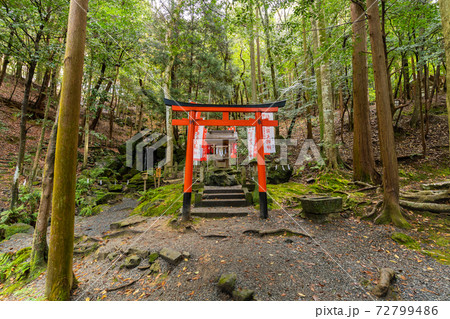【京都府】　丹波國一之宮 出雲大神宮 72799486
