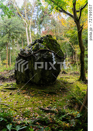 【京都府】 丹波國一之宮 出雲大神宮 【京都府】 丹波國一之宮 出雲大神宮 72799507