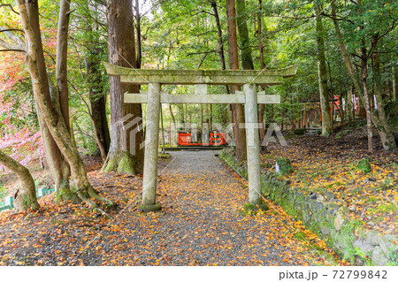 【京都府】 丹波國一之宮 出雲大神宮 【京都府】 丹波國一之宮 出雲大神宮 72799842
