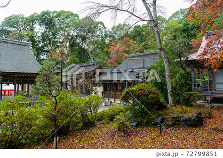 【京都府】　丹波國一之宮 出雲大神宮 72799851