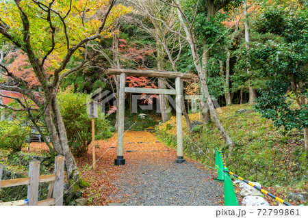 【京都府】　丹波國一之宮 出雲大神宮 72799861