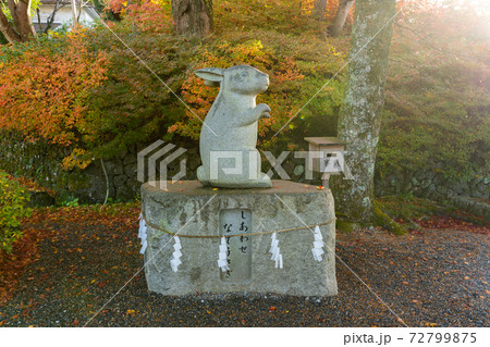 【京都府】 丹波國一之宮 出雲大神宮 【京都府】 丹波國一之宮 出雲大神宮 72799875