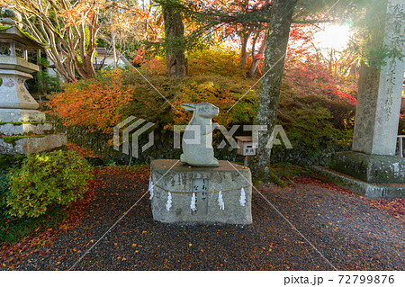 【京都府】　丹波國一之宮 出雲大神宮 72799876