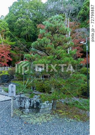 【京都府】 丹波國一之宮 出雲大神宮 【京都府】 丹波國一之宮 出雲大神宮 72799887