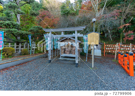 【京都府】 丹波國一之宮 出雲大神宮 【京都府】 丹波國一之宮 出雲大神宮 72799906