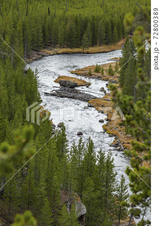 USA, Wyoming, Yellowstone National Park, Gibbon River among forest in Yellowstone National Park 72800389
