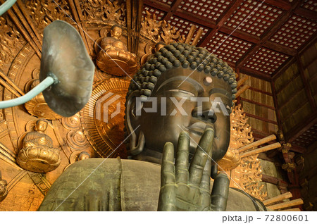 東大寺盧舎那大仏 72800601