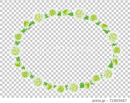 シロツメクサの花冠の楕円フレームイラスト壁紙のイラスト素材