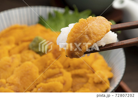 ウニ丼(テーブル) ウニ丼(テーブル) 72807202