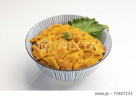 ウニ丼（白バック） 72807232