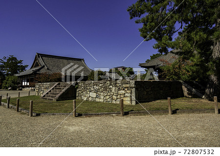 西大寺　東塔跡　奈良県奈良市 72807532