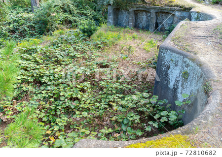 【和歌山県】　友ヶ島 72810682