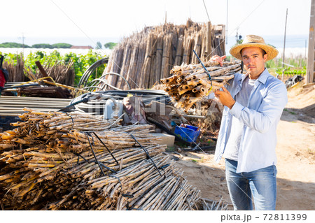 Gardener stacking bundles of bamboo poles on backyard Gardener stacking bundles of bamboo poles on backyard 72811399