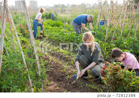 Tween boy helping mother work in vegetable garden 72812388