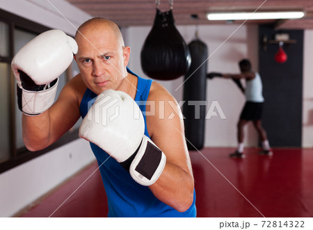 Portrait of boxer wearing gloves at boxing hall Portrait of boxer wearing gloves at boxing hall 72814322