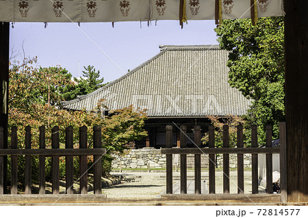 西大寺 本堂 奈良県奈良市 西大寺 本堂 奈良県奈良市 72814577