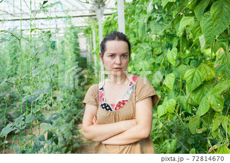Female farmer in glasshouse 72814670