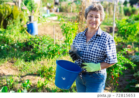Mature woman having horticultural instruments in garden on day 72815653