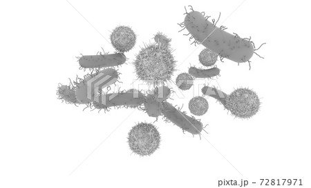 バイ菌　大腸菌　細菌　病原　感染　イメージCG　白バック 72817971