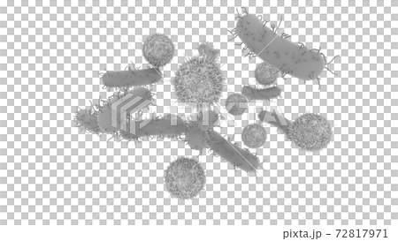 白木耳大腸桿菌細菌病原體感染圖像CG白色背景 白木耳大腸桿菌細菌病原體感染圖像CG白色背景 72817971