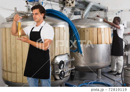 Serious young man brewer attentively checking quality of beer in flask Serious young man brewer attentively checking quality of beer in flask 72819119
