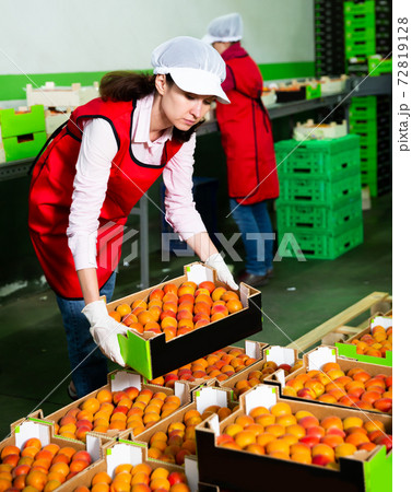 Woman holding box of apricots at warehouse 72819128