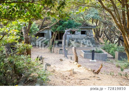 【和歌山県】　友ヶ島 72819850